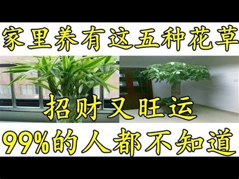 財位可以放花嗎